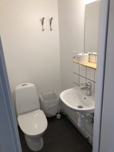 Toalett med wc, handfat och spegel.