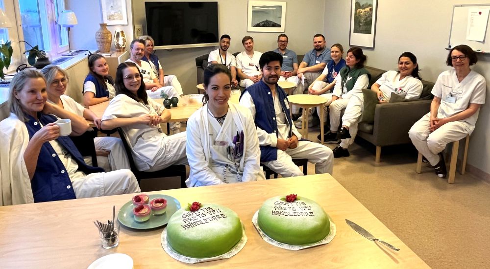 Bild på tidigare VFU-handledare och två prinsesstårtor. 