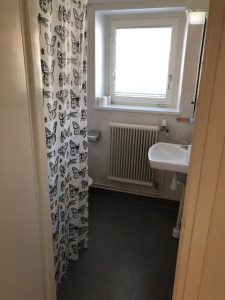 Dusch, toalett, handfat och fönster.
